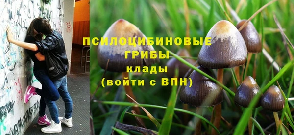 2c-b Бронницы