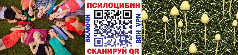 Псилоцибиновые грибы мицелий  где продают   Старица 