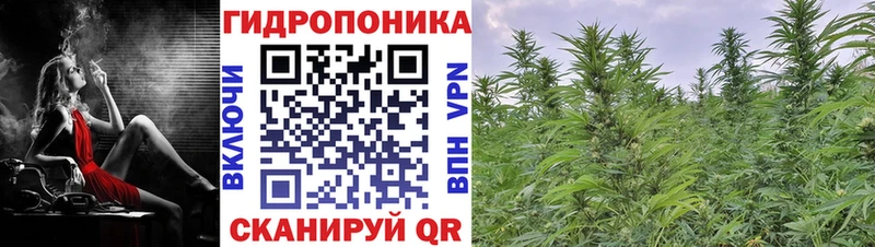 площадка состав  blacksprut как войти  Старица  Марихуана Bruce Banner 